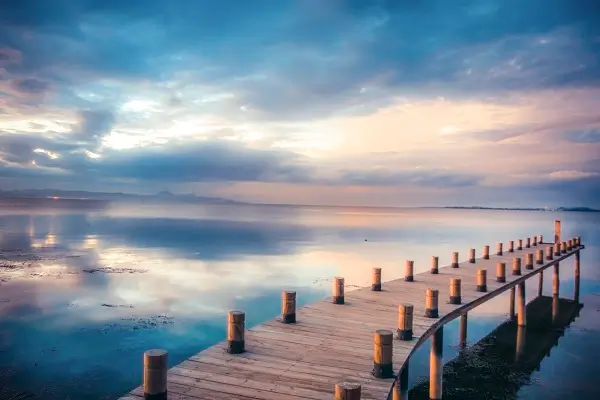 简单美食做法减肥早餐