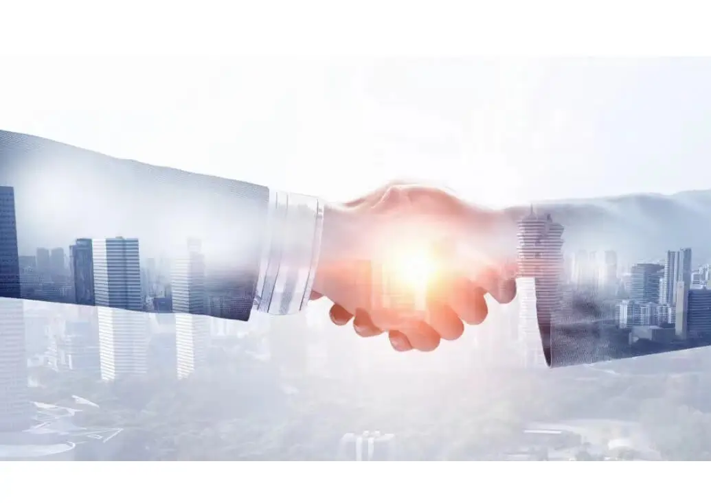 羊皮做法美食推荐理由