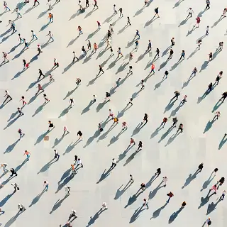 包菜美食做法剪纸图片