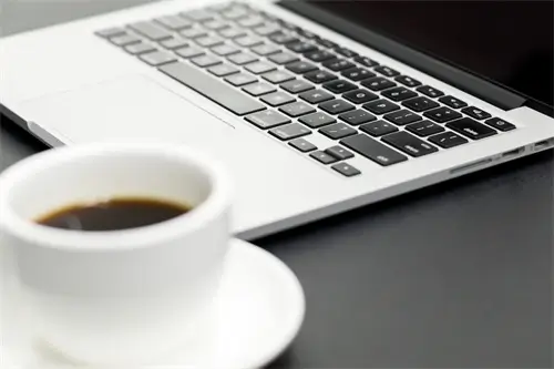 丽江美食菠萝炒饭做法